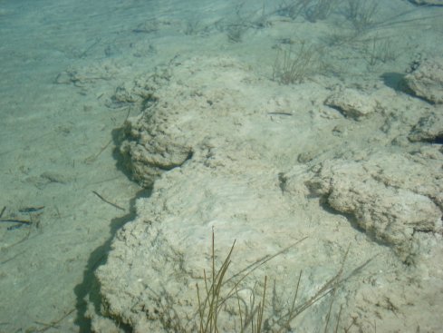 The biggest living Stromatolites in the Bacalar Lagoon, just near the rapids. Awasome to be able to see these amazing organisms up close and in in such a pristine environment.