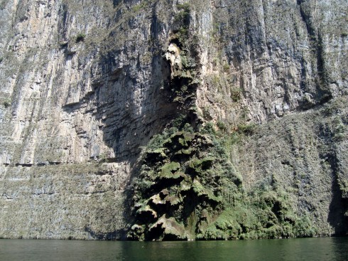 A 'Christmas Tree' formation, formed over millions of years by a waterfall.