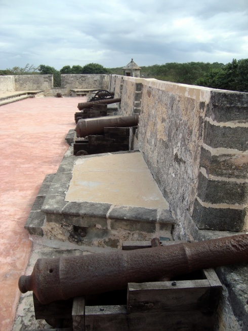The cannons on all sides of the wall.