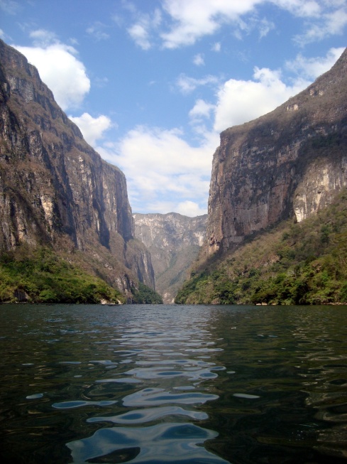 The view of the Sumidero Canyon as represented on the Chiapas state seal.