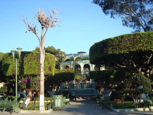 The main plaza in Comitan de Dominguez with its flat-top trees.