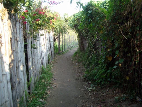 Path leading away from town.
