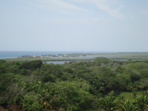 Looking west past Chepes Beach. You can see the swampland and the lagoon.