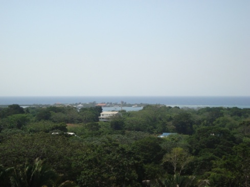 Looking towards the Eastern Harbor of Utila. Most of the town and houses are obscured by the many trees on the island.