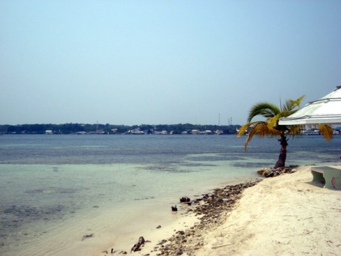 Looking out to Utila's Eastern Harbour from Bando beach.