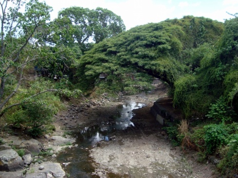 A river that runs through Matagalpa.