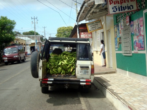 A truck full of plantains, widely grown on Ometepe.