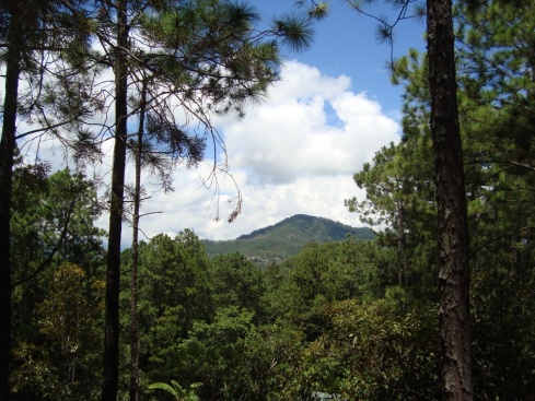 The beautiful view, framed by pine trees just outside the local clinic at Perquin.