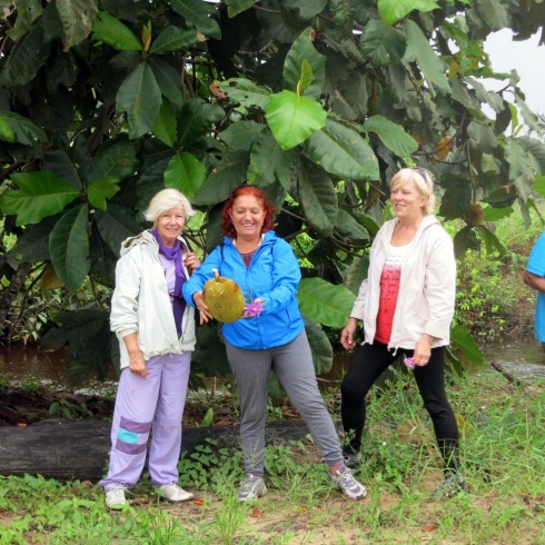 One the quick stop at Dad's farm, the ladies got to see fruit growing on the trees.