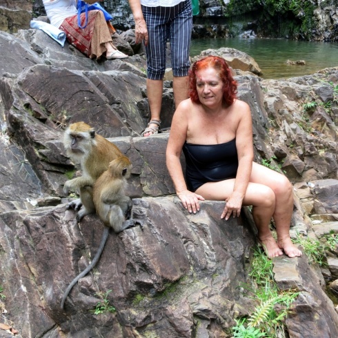 Eva, checking out the monkeys, who are ever ready to snatch a bag.
