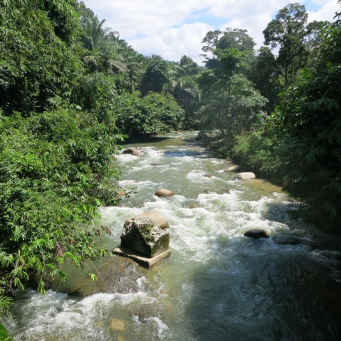 The fast-flowing river near Gopeng also offers white-water rafting to visitors.