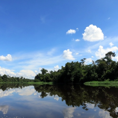 Mirror image. The slightly too calm waters of Sungai Retus. 