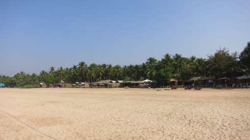 Agonda beach looked quite deserted while we were there, exactly what we were looking for!