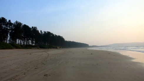  Kalbadevi beach just before sunset, fringed by pine trees and almost deserted.