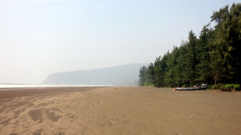 Shrivardhan beach. Like all the other beaches we visited in Maharashtra, it was a wile, huge expanse of sand.