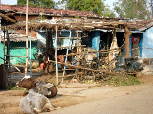 A typical village house.